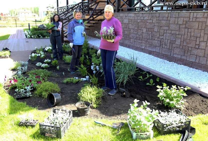 Школа ландшафтного дизайна