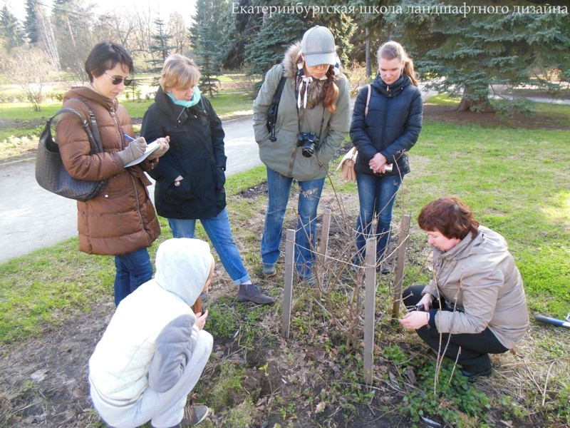 Школа ландшафтного дизайна