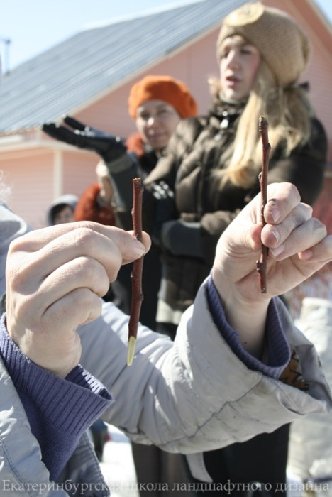 Школа ландшафтного дизайна