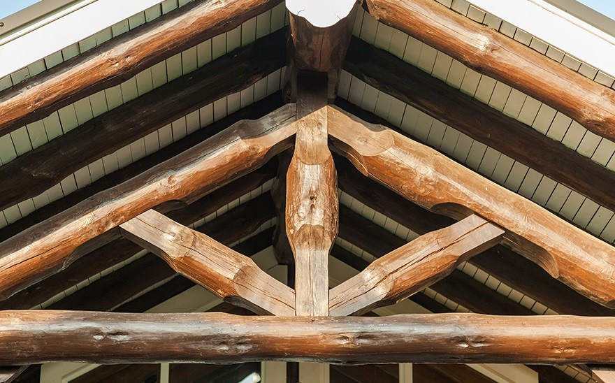 Сеча. Реализация проекта