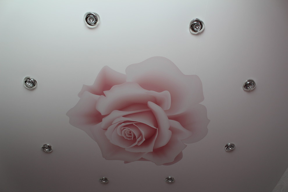 Потолок с фотопечатью