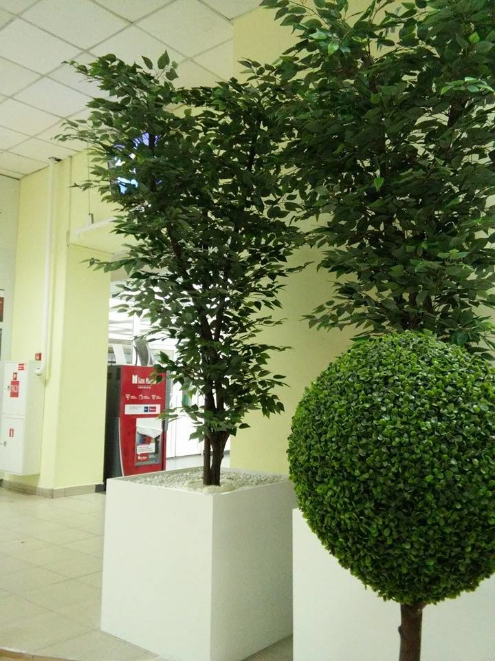 Деревья для ТЦ Мега