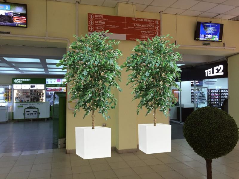 Деревья для ТЦ Мега