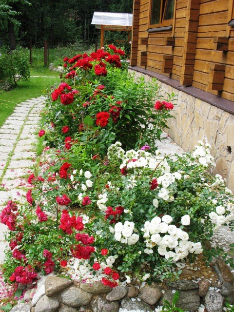 Ландшафт в природном стиле