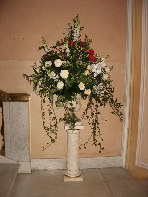 Флористика