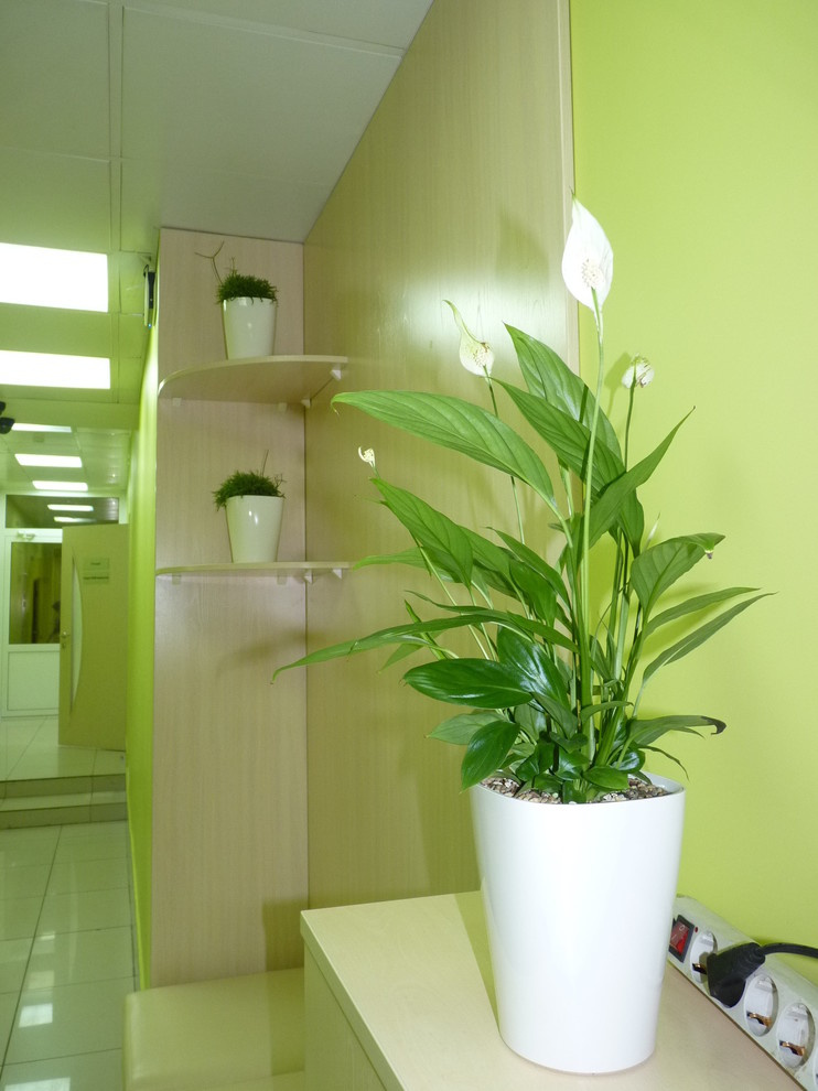 Озеленение офиса интернет-магазина "Celler"