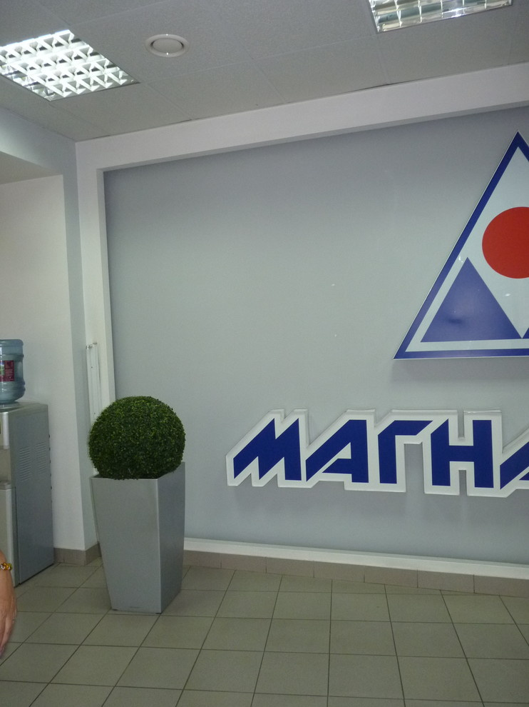 Самшиты в кашпо Лечуза для компании "Магнат РД"