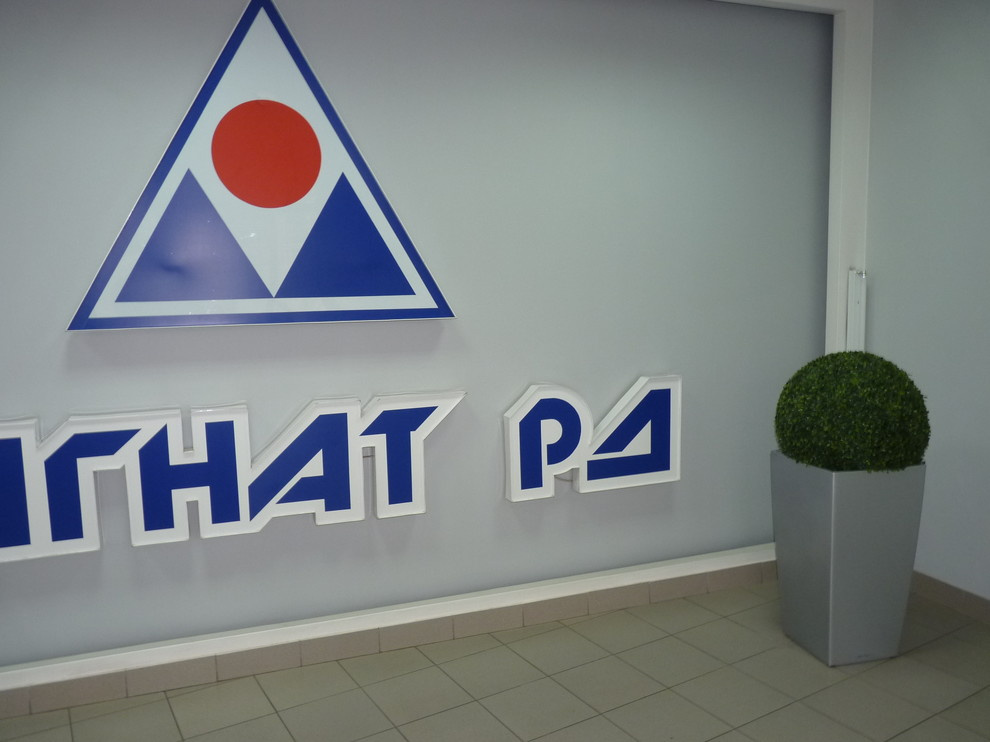 Самшиты в кашпо Лечуза для компании "Магнат РД"
