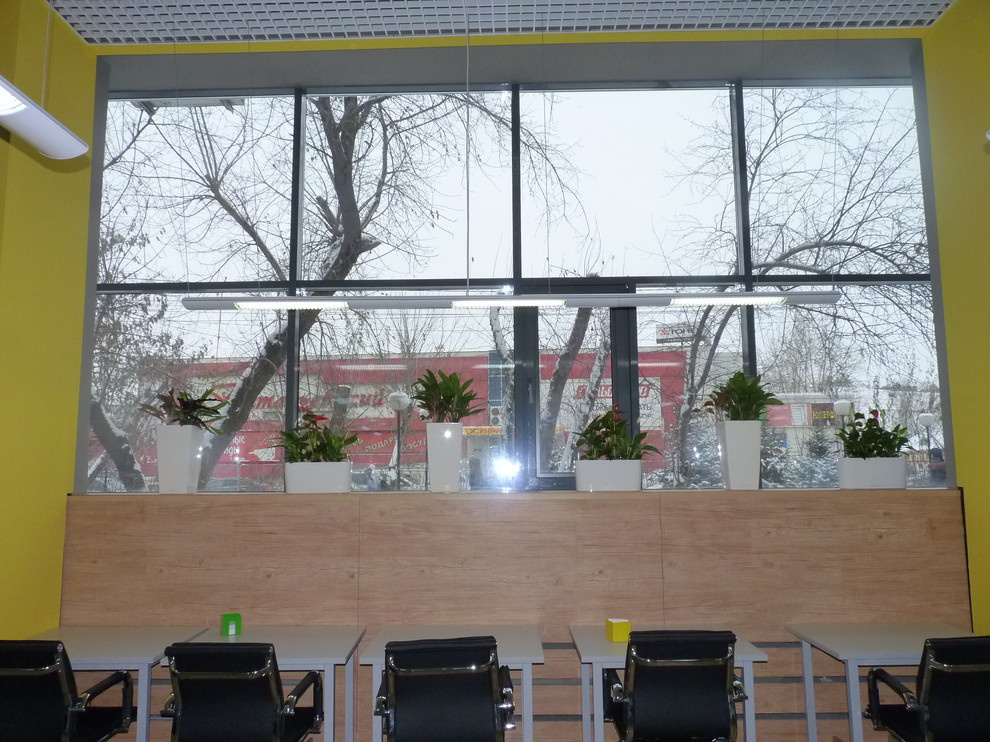Фитодизайн читального зала Педагогического университета им. В.П. Астафьева