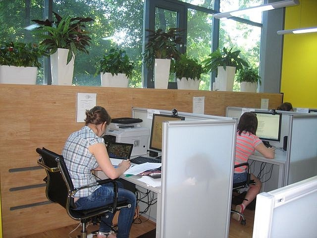 Фитодизайн читального зала Педагогического университета им. В.П. Астафьева