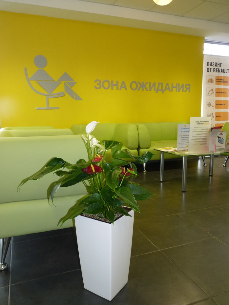 Фитодизайн для автоцентра Рено (Красноярск)