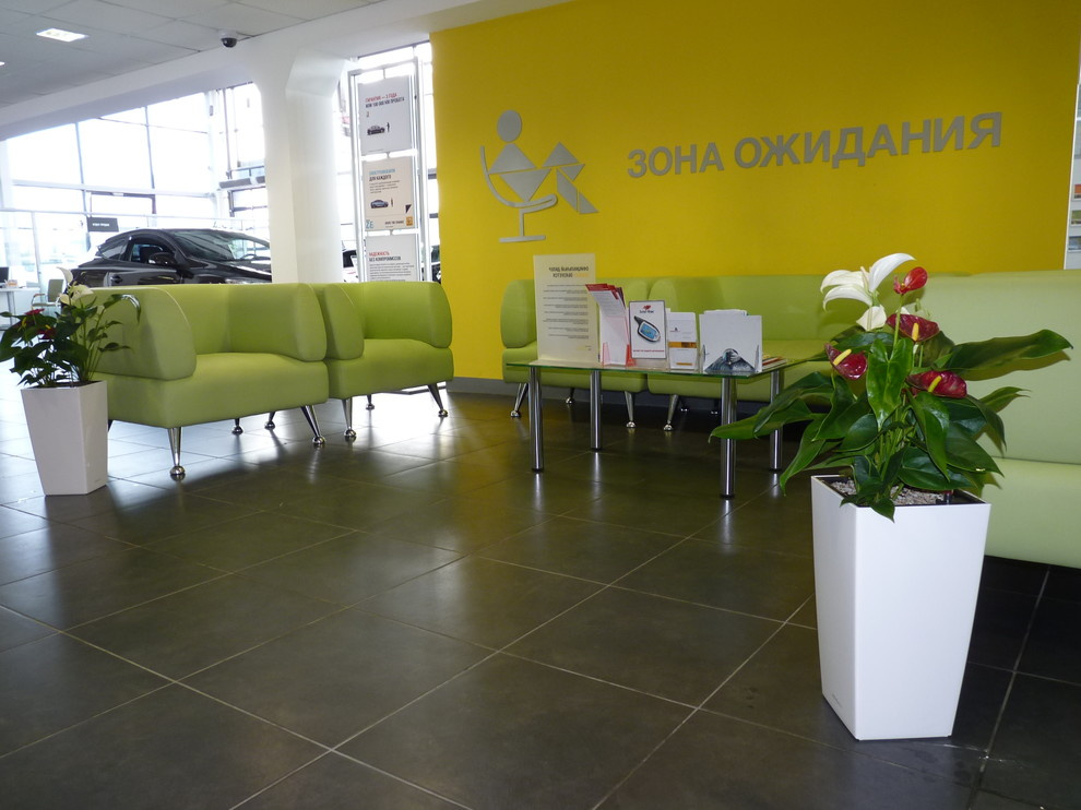 Фитодизайн для автоцентра Рено (Красноярск)