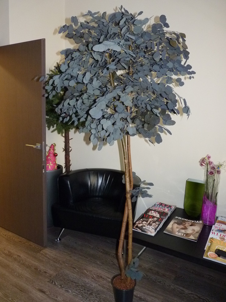 Фитодизайн живыми цветами офиса