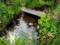 Дизайн интерьеров
