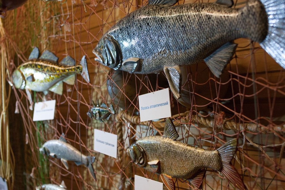 Дерево в тренде