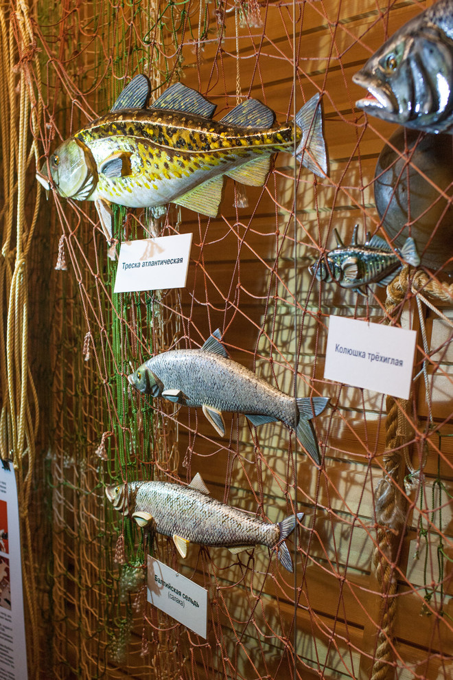 Дерево в тренде