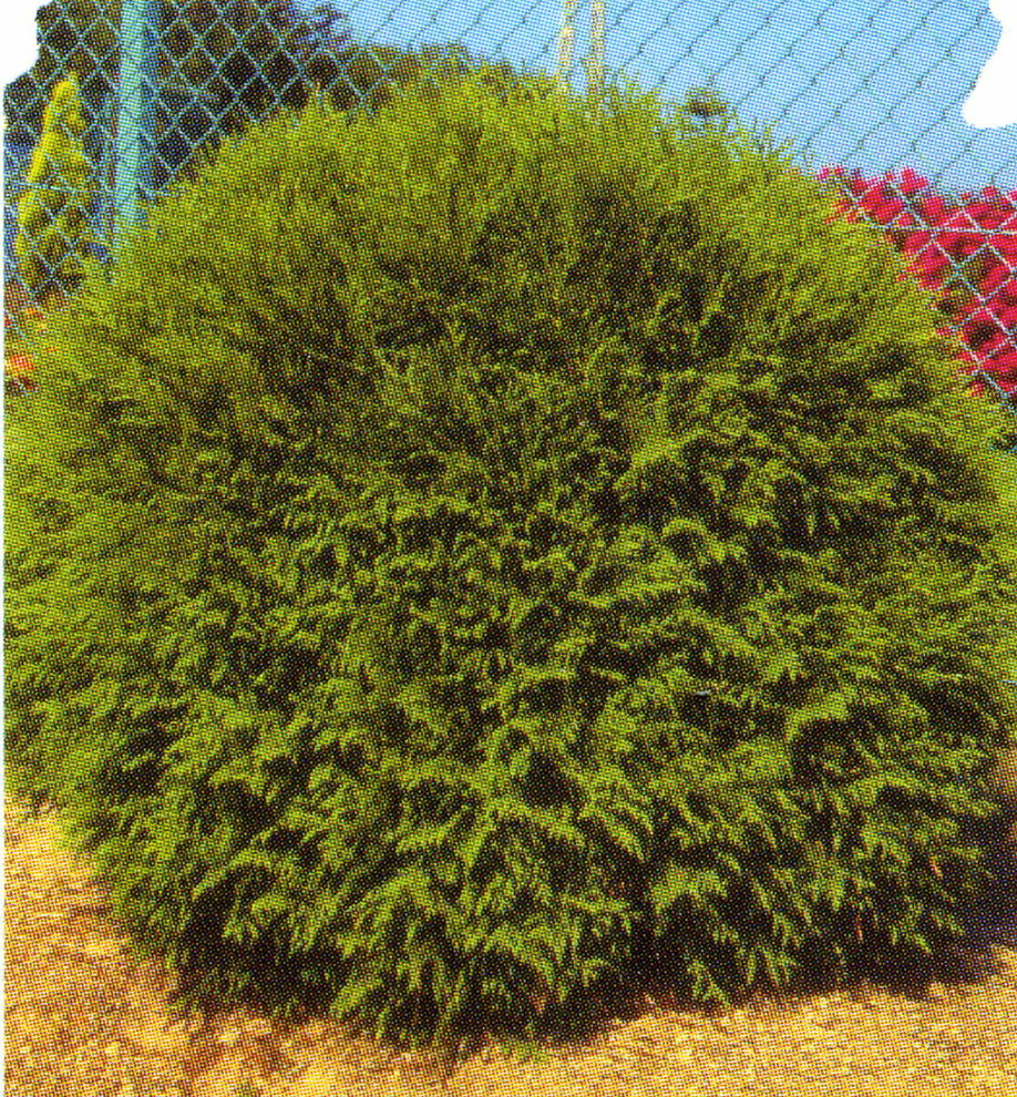 всеволожск