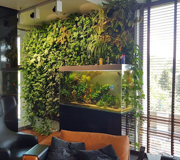 Аквадизайн