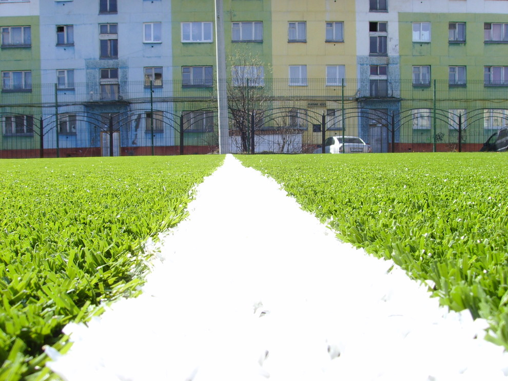 Спортивный газон