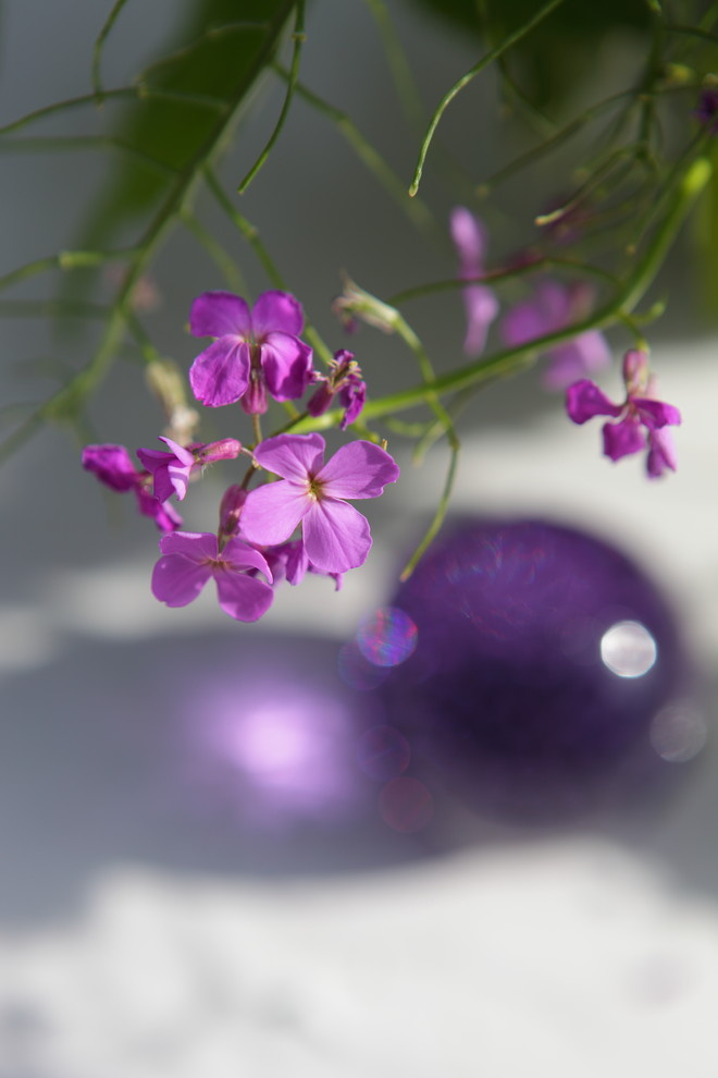 Садовые букеты