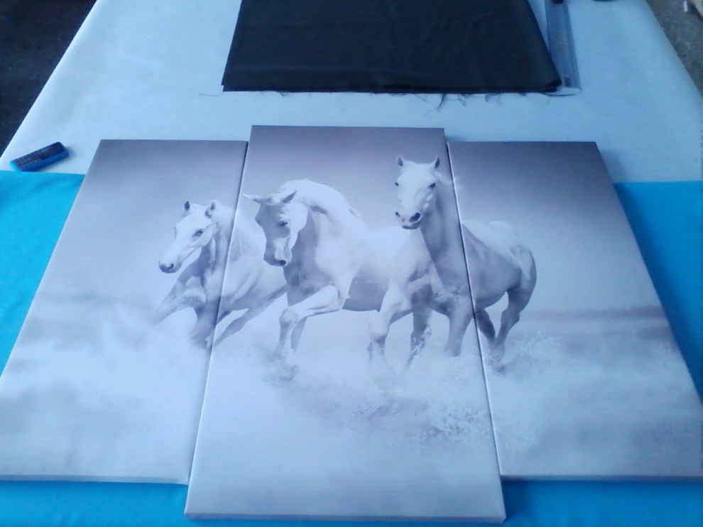 Примеры работ. Картины на холсте.