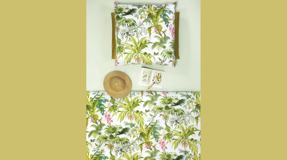 territoriya comforta