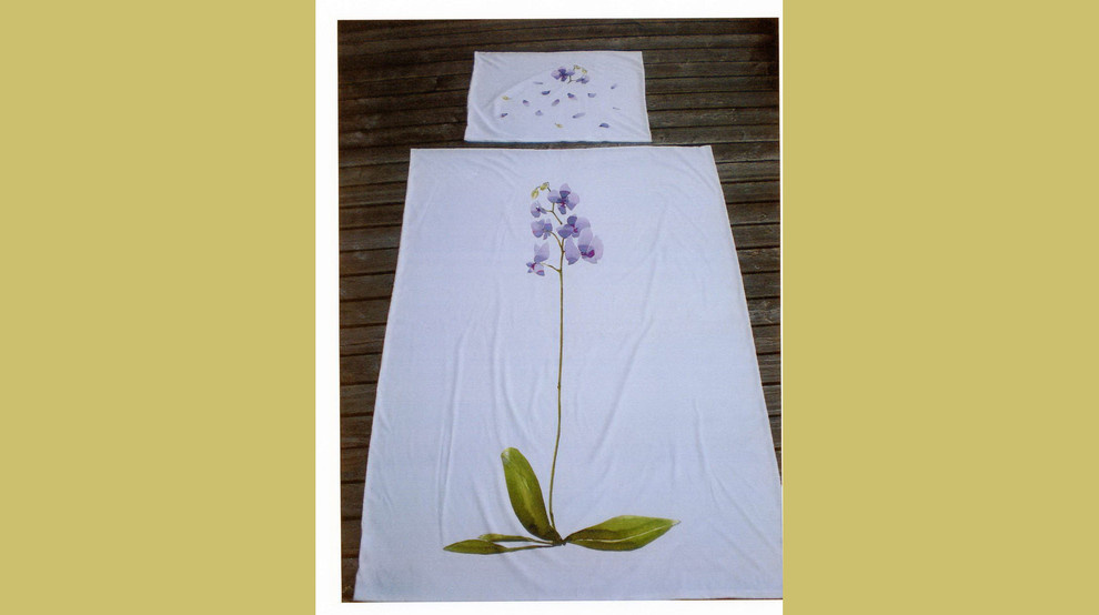 territoriya comforta