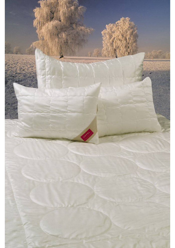 territoriya comforta