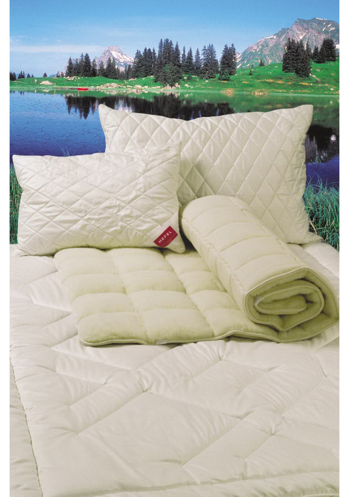 territoriya comforta