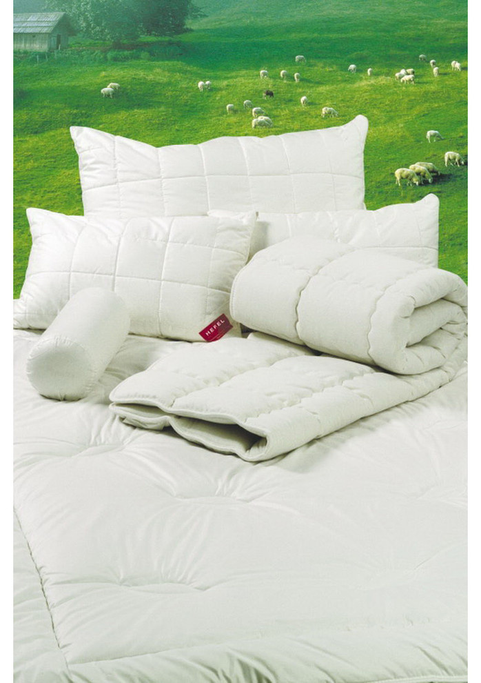 territoriya comforta