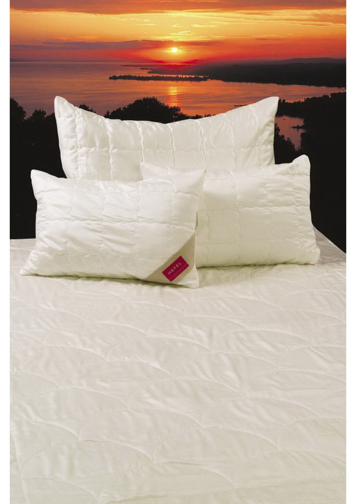 territoriya comforta