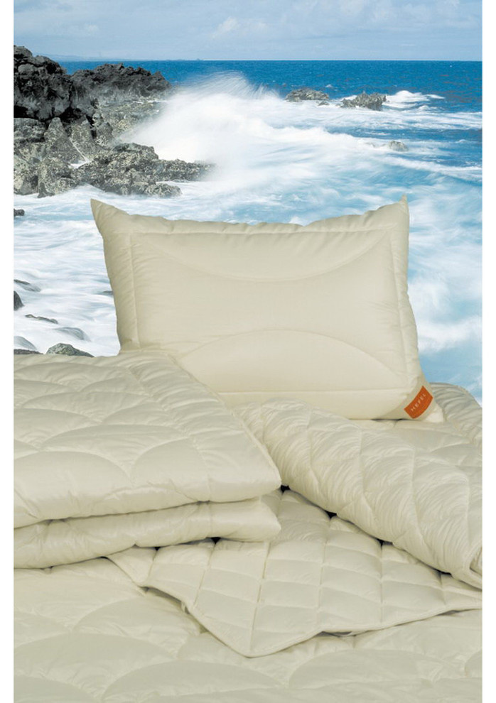 territoriya comforta