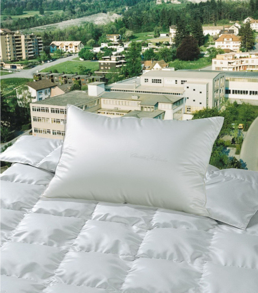 territoriya comforta