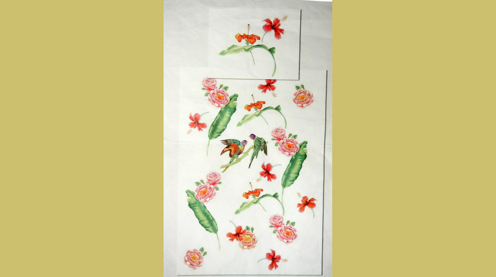 territoriya comforta