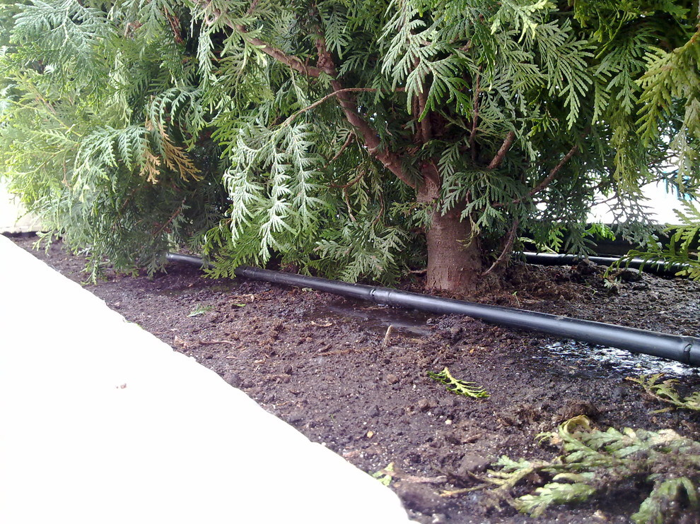 Автополив на крыше ул. Мосфильмовская