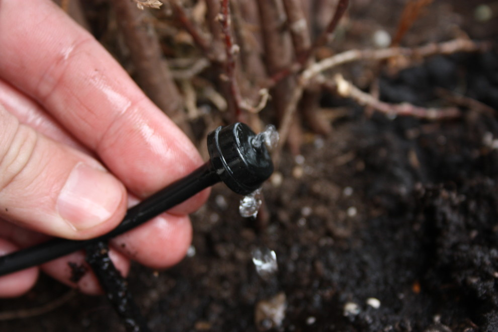 Автополив на крыше ул. Мосфильмовская