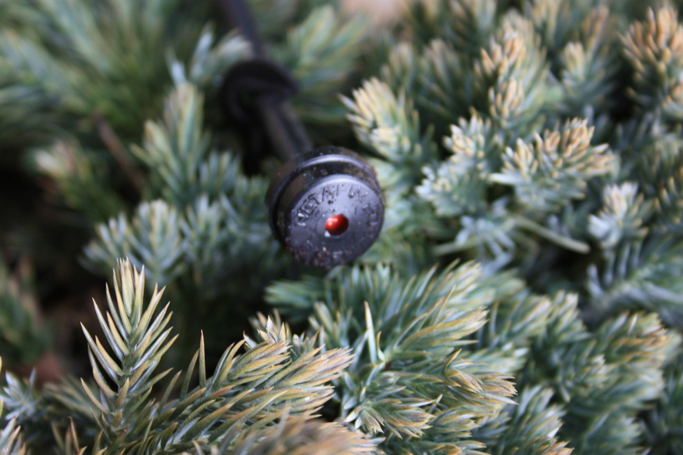 Автополив на крыше ул. Мосфильмовская