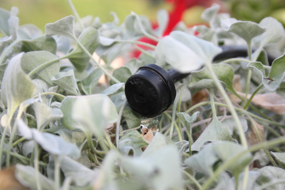 Автополив на крыше ул. Мосфильмовская