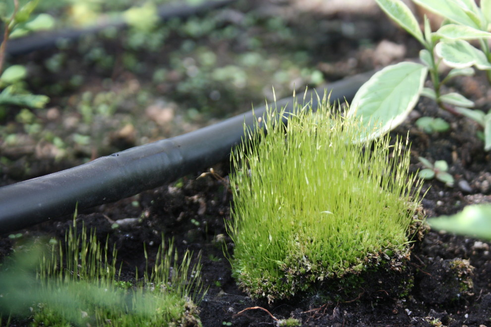 Автополив на крыше ул. Мосфильмовская