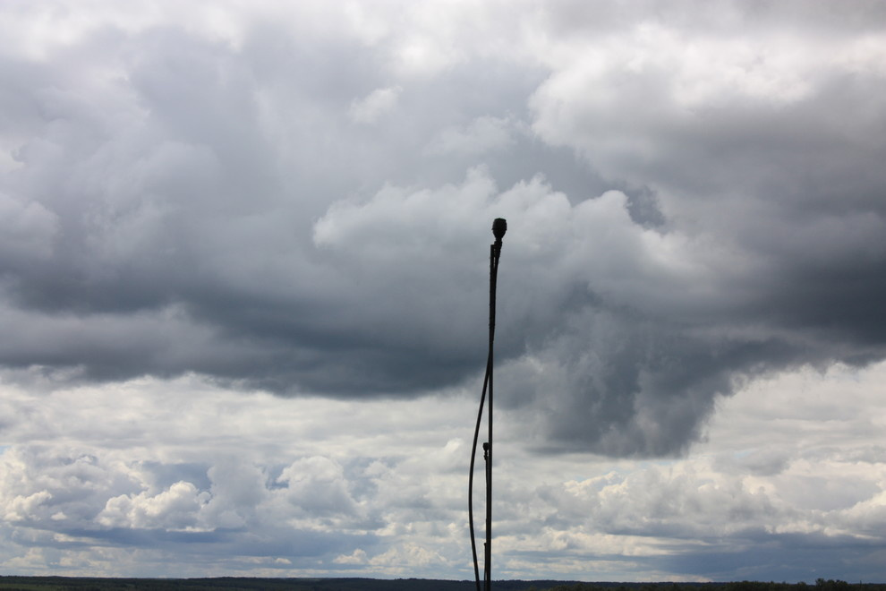 Автополив в питомнике Осётр в Тульской области д. Махринские выселки