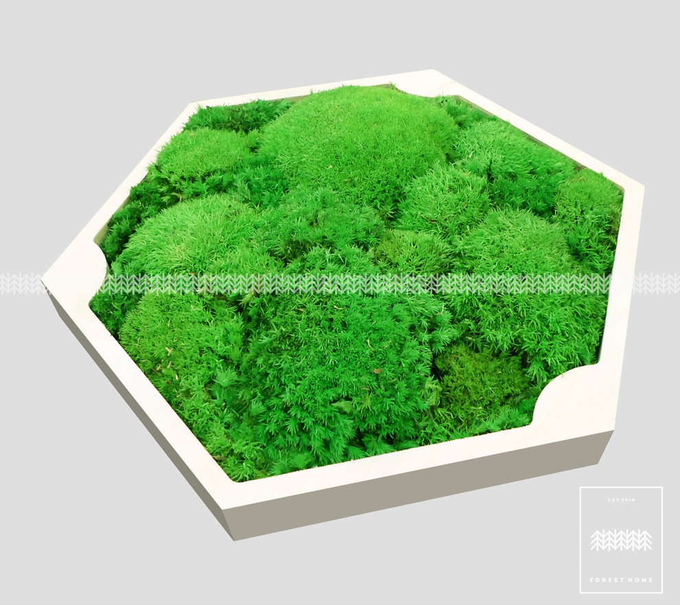 Плитки forest