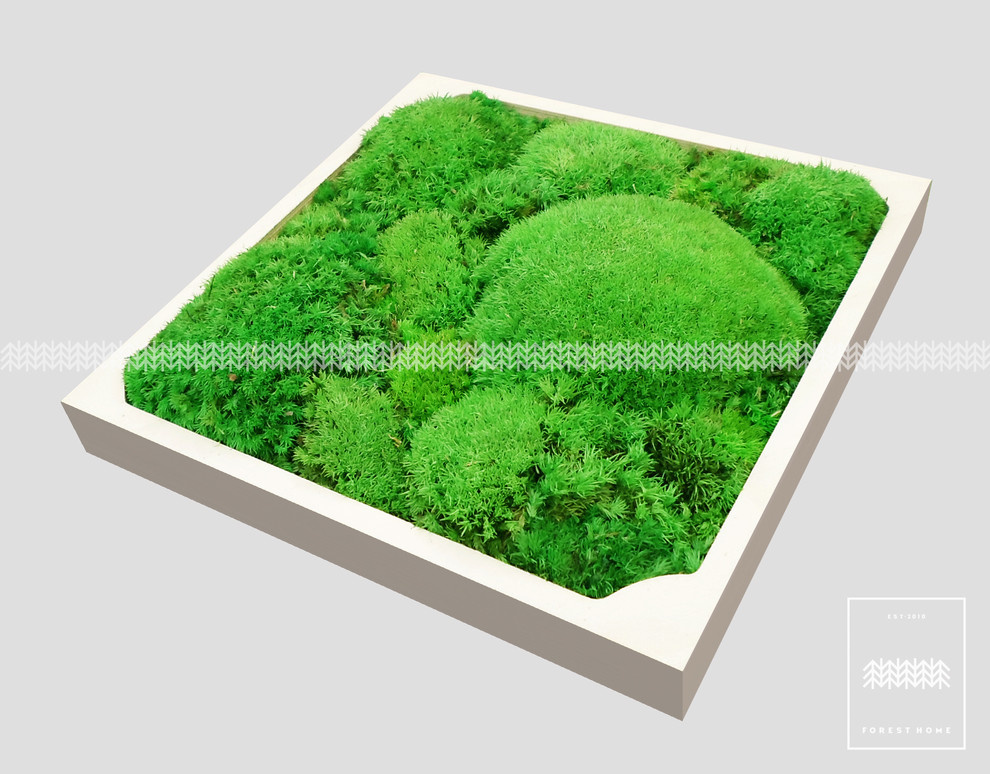 Плитки forest