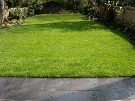 Укладка рулонного газона в КП Горки 9