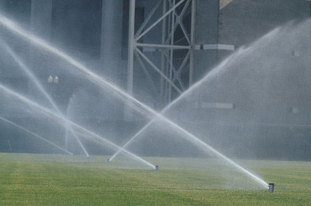 Укладка рулонного газона в КП Горки 9