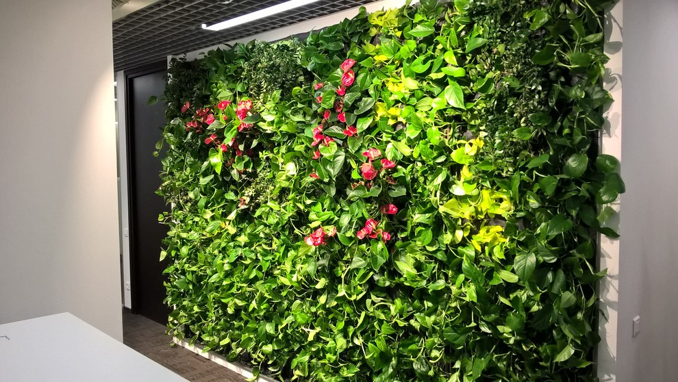 Озеленение
