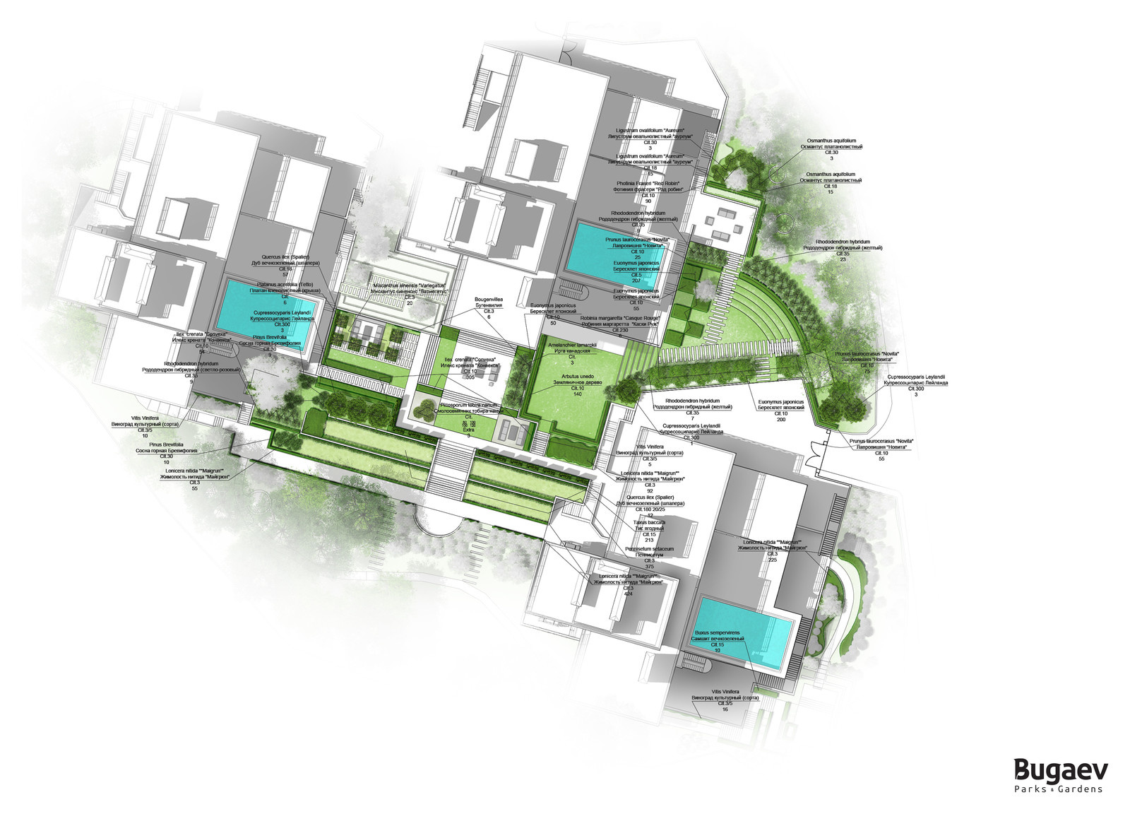 Зеленая роща