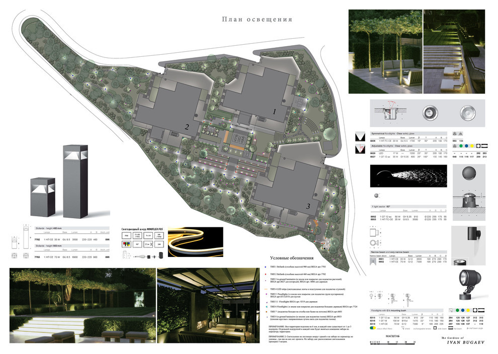 Зеленая роща