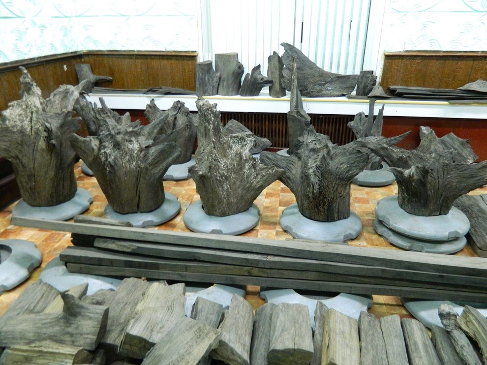 Морёный дуб  Bog Oak в стволах для  уникальных проектов различного направления.