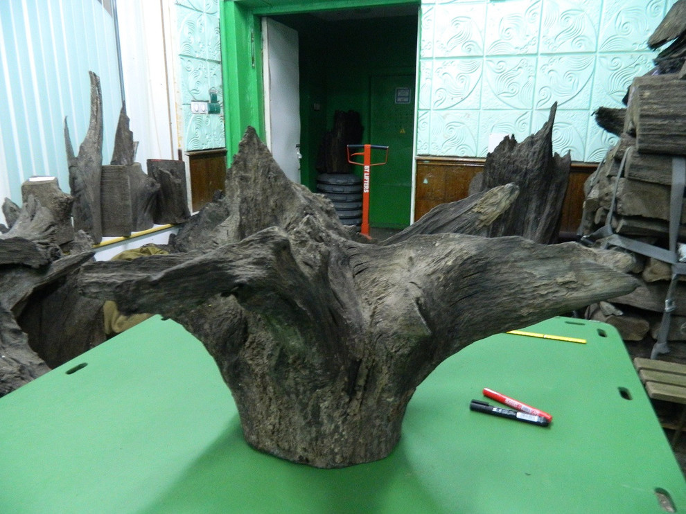 Морёный дуб  Bog Oak в стволах для  уникальных проектов различного направления.