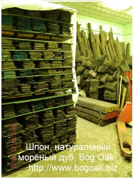 Морёный дуб  Bog Oak в стволах для  уникальных проектов различного направления.